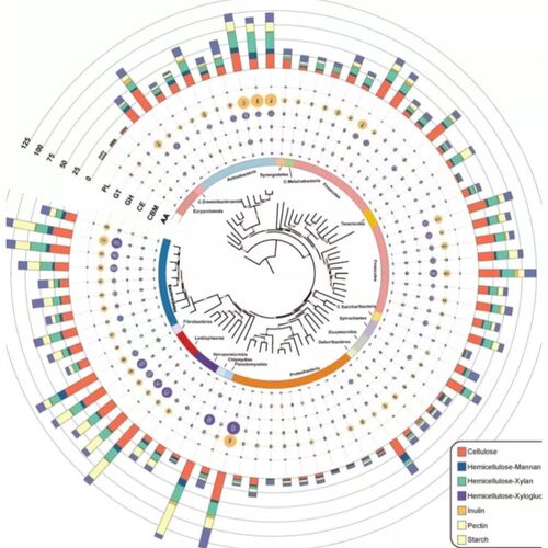 GWAS 孟德尔随机化 meta 共定位 SMR教学和代做服务