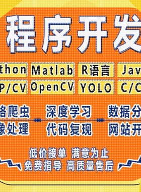 python代做编程matlab代码帮跑通深度学习机器R语言yolo算法复现