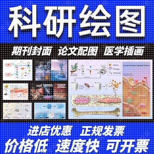 科研绘图/代画作图sci医学插图画图机制图origin图形摘要封面美化