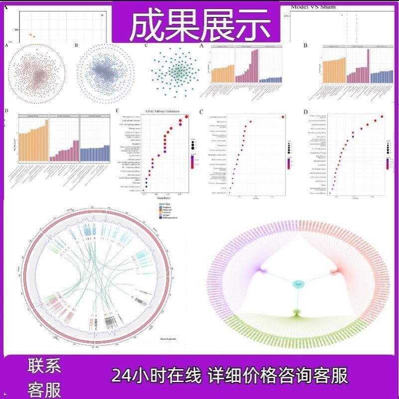 生信分析服务TCGA/GEO数据库挖掘单细胞测序生信医学模型学习深度