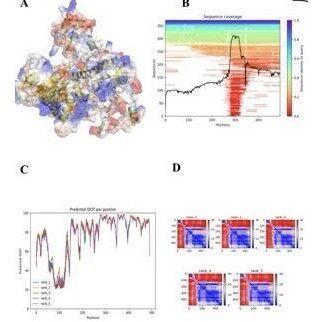 分子对接 互作分析