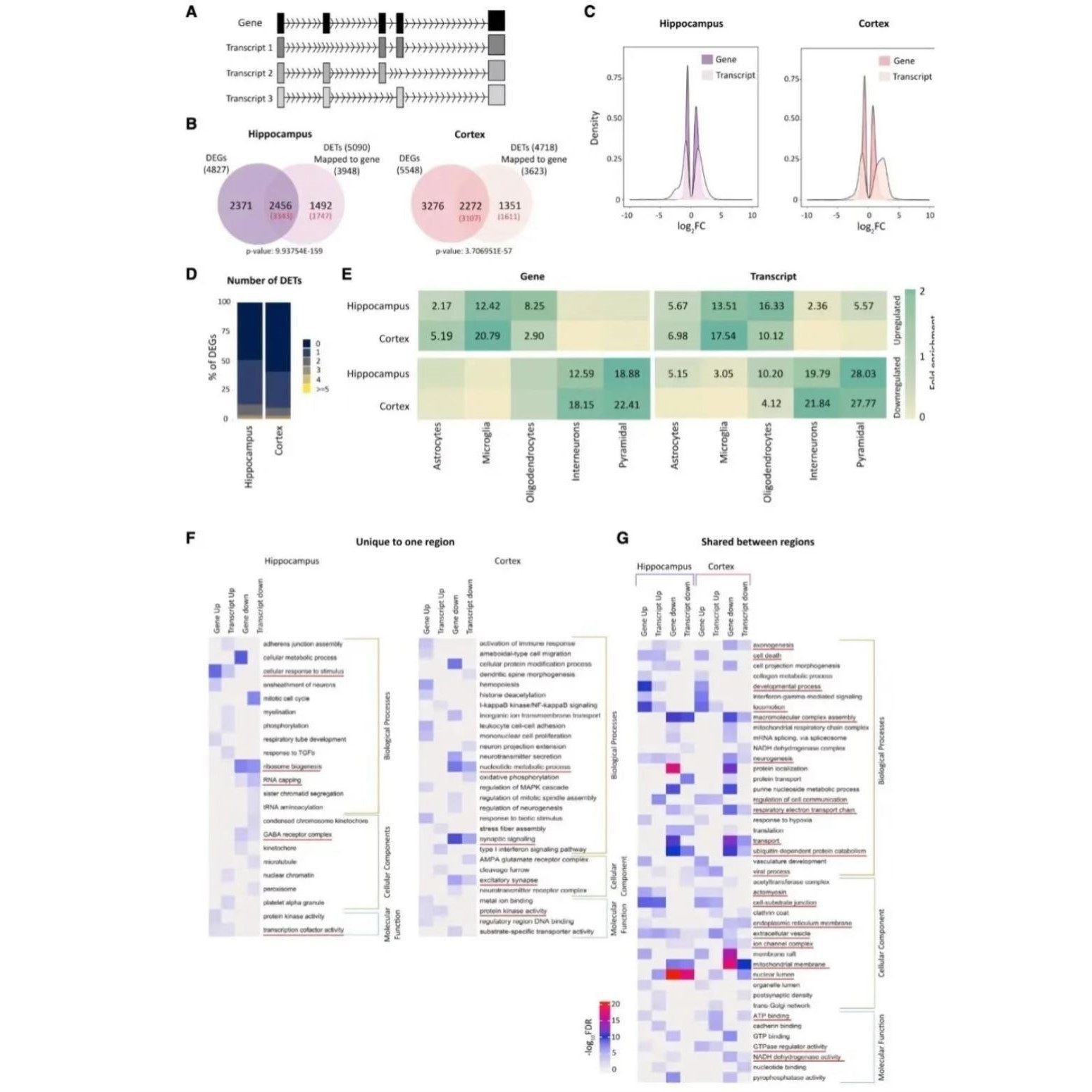公共数据库深度挖掘生信分析一对一指导服务
