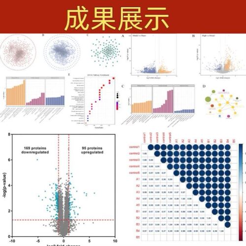 医学生信分析单细胞测序转录组TCGA GEO数据库挖掘分析服务