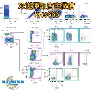 流式数据分析-flowjo细胞凋亡周期免疫分型活性氧增殖钙流多色