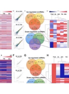 个人】r语言报告实证分析代码作图画图可视化生信医学临床生物