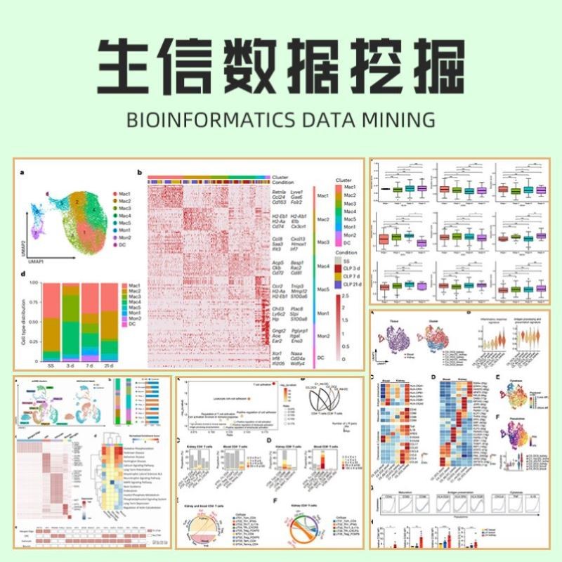 GE0 数据库代谢组学数据挖掘分析