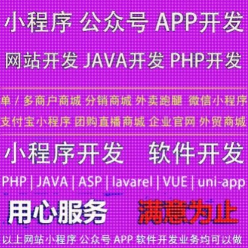 Java代码编写C语言C++代做python接单c#.net程序编写爬虫网站设计