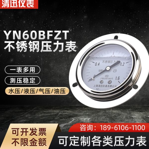 全不锈钢耐震压力表YN60BFZT轴向带边耐震压力表0-0.6/1/1.6Mpa