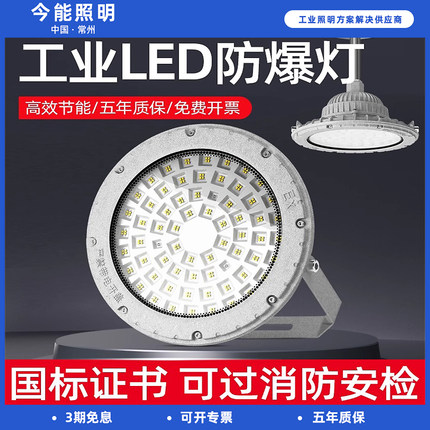 工业led防爆灯仓库厂房加油站厨房消防专用100W照明灯泡灯罩灯具