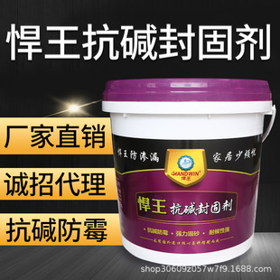 悍王抗碱封固剂界面剂防水涂料渗透型透明有机硅防水剂内外墙胶水