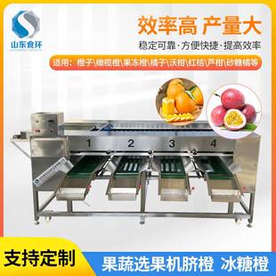 果蔬分拣机土豆田螺芒果火龙果分级机荔枝筛选设备果蔬选果机