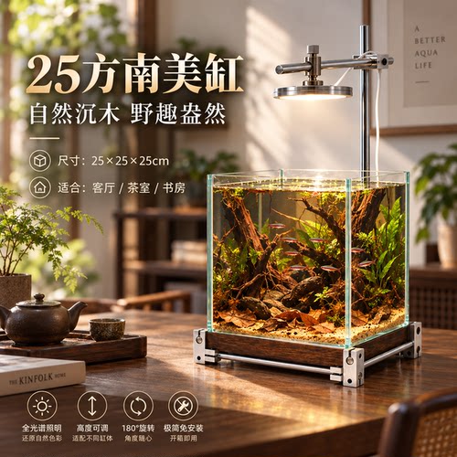 桌面鱼缸微景观办公室景观小缸