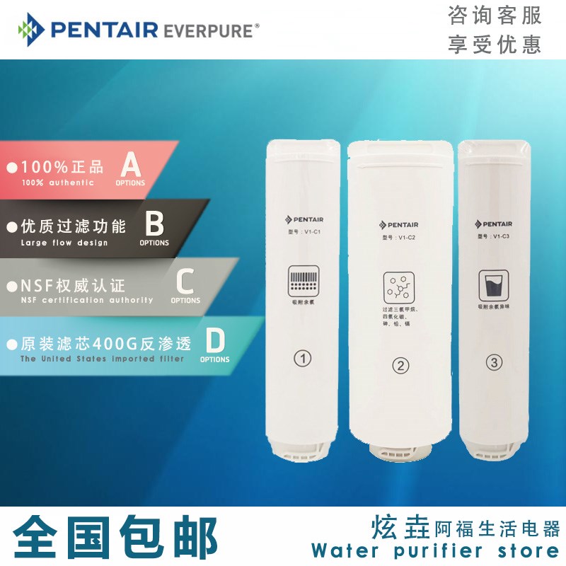 滨特尔V3b000-a反渗透纯水机S2000-A替换滤芯7000净水器V4000a\v1