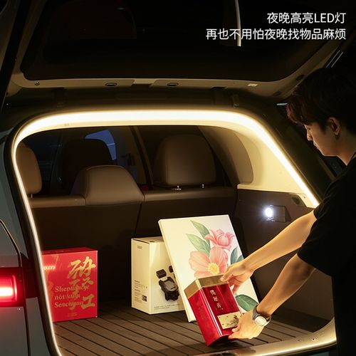 采购产品零运行B10/B01后备箱灯C10x/C11汽车气氛灯露营风格灯C16