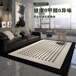 免洗可擦家用卧室床边毯轻奢高级感沙发地垫防滑 地毯客厅2024新款