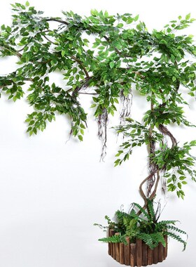 仿真榕树须藤须龙须腾须雨林藤树藤吊顶装饰塑料藤蔓假花藤条缠绕