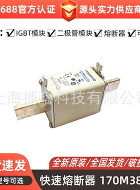 170M3810D 170M3811 170M3811D全新快速熔断器电子元器件现货直发