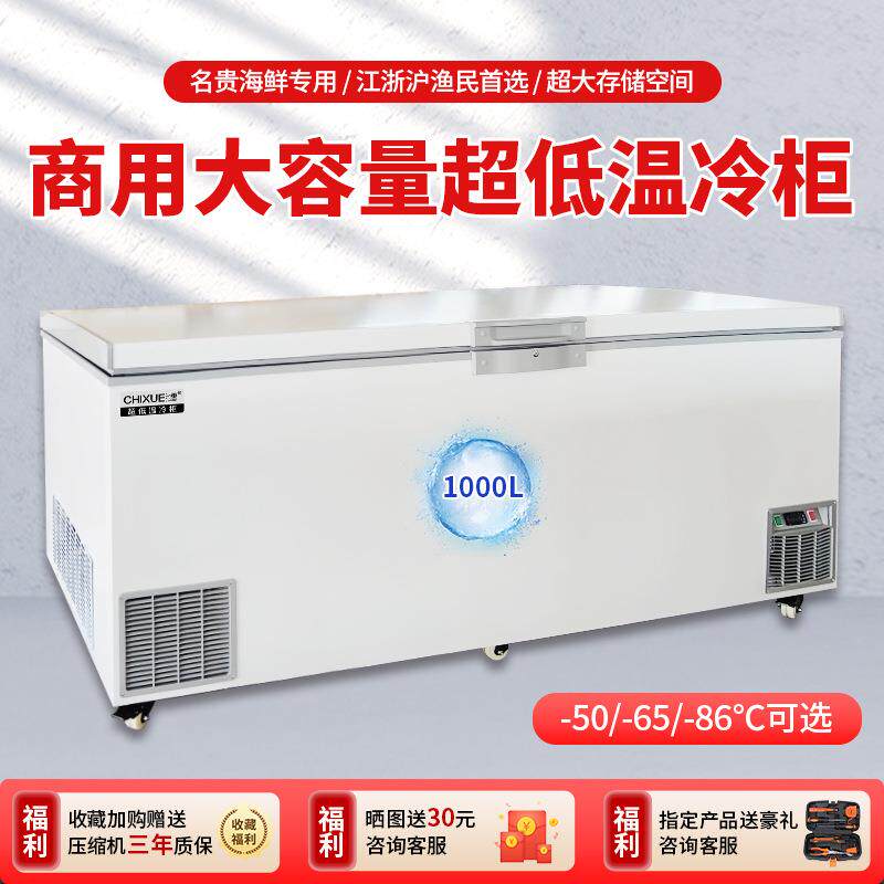 热卖款驰雪1000升冰柜超大容量超低温冷柜冰箱冷藏商用