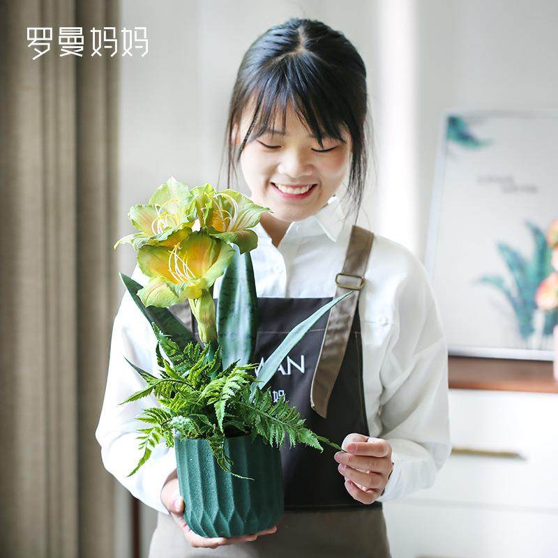 罗曼妈妈现代简约假花朱顶红仿真花室内盆栽套装桌面摆件花卉装饰,节庆用品/礼品,新娘配件,淘宝优惠券,粉丝福利购,淘宝优惠卷