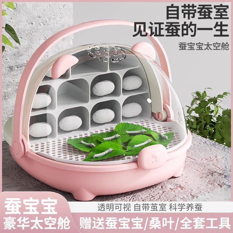 学生养蚕套装蚕宝宝蚕卵包活