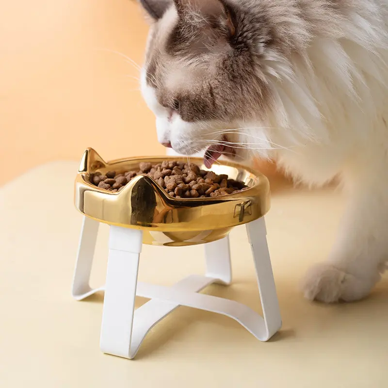 电镀金色陶瓷猫碗狗碗架护颈防打翻宠物碗猫咪喝水碗猫咪食盆