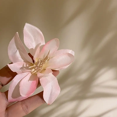 度假风鸡蛋花彼岸花朵抓夹甜美刘海侧边发夹波西米亚时尚发饰