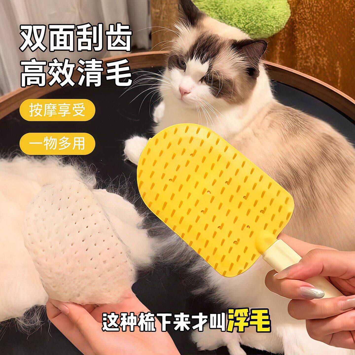 猫狗通用免洗澡去浮毛排梳