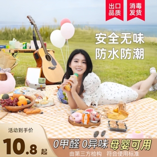 野餐垫露营垫防潮垫加厚户外露营地垫野外防水布便携帐篷草坪垫子