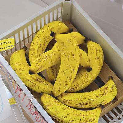 remb可爱仿真大香蕉发声乳胶宠物狗狗解闷玩具约克夏泰迪比熊柯基