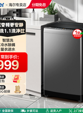 海尔波轮洗衣机10kg全自动家用直驱变频除螨EB100B32Mate1