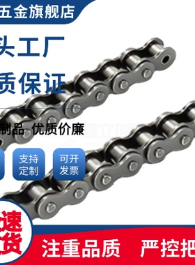 工业链条CHE/CHES35 40 50 60 80 100 120 140B