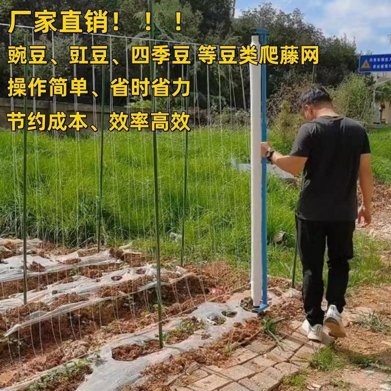 豆乐爬藤网厂家种植神器四季豆网豌豆网豇豆豆角网荷兰豆免挂线