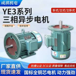 4KW 三相异步电动机380v电机0.75 1.5 YE3高效节能全铜电机 1.1