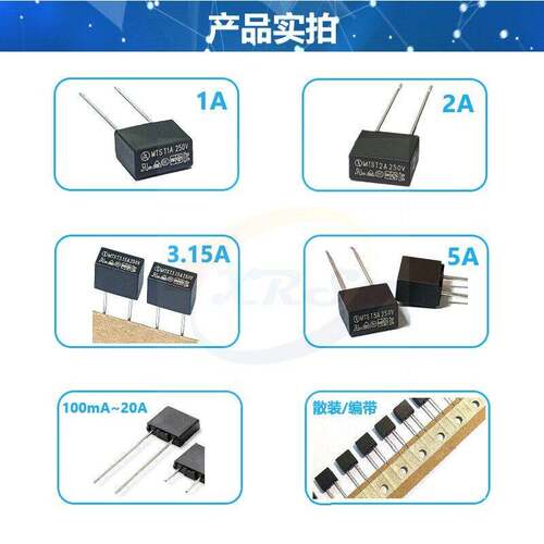 瑞迈工厂REOMAX热卖T1.6A 250V MTS 塑封方型保险管 方形保险丝