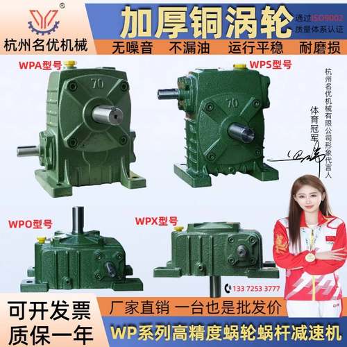 wpa涡轮蜗轮蜗杆减速机小型铁壳带电机齿轮WPO一体立式减速器齿轮