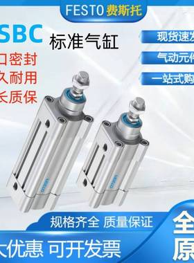 FESTO费斯托标准气缸DSBC-32-40-50-63-80-100-125-C-PPVA-N3原装