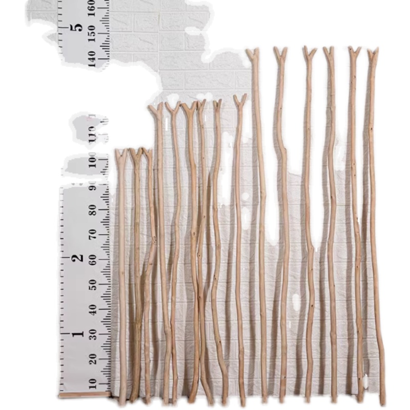 晾衣叉挑衣杆天然山茶实木取晒撑一体家用阳台服装店商铺挂饰摆件