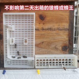 箱中神器意蜂雄蜂蜂逃器自动6 蜂分号顶土养格过滤王收格子防新款