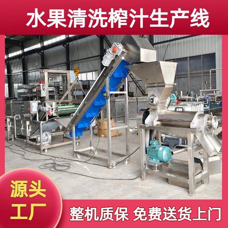 连续式水苹果清洗榨汁生产设备雪花梨清洗榨汁机菠萝西瓜榨汁设备