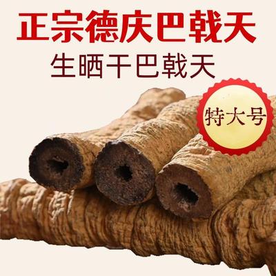 德庆正宗巴戟天野生厚肉生晒抽芯无硫巴戟肉滋补煲汤泡酒料中药材