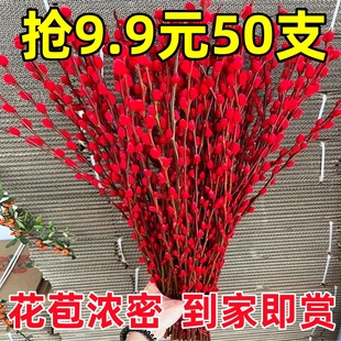 银柳真花鲜枝年宵花卉七多彩大红色银柳干花柳枝水养装 饰招财1米2