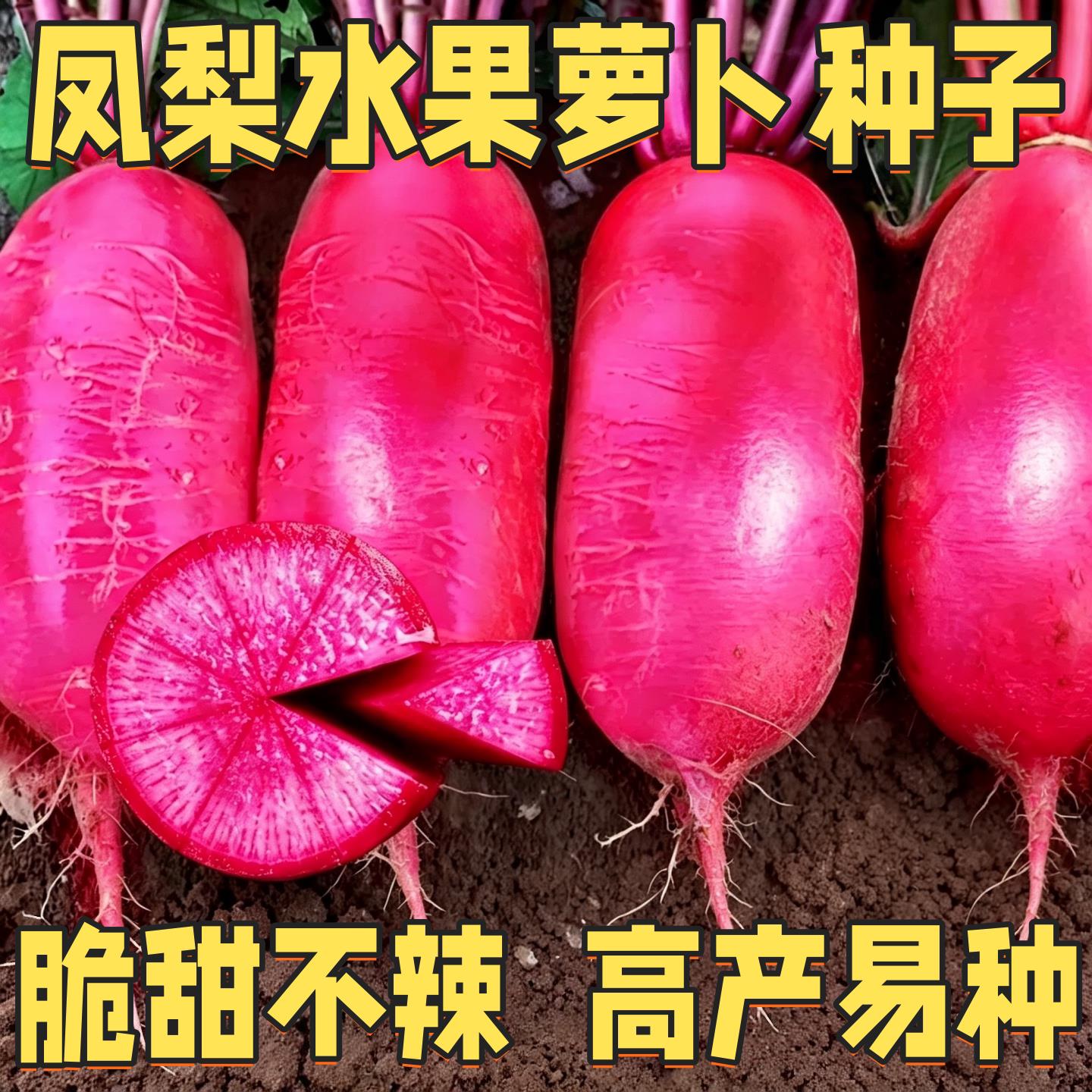 凤梨水果萝卜生吃甜脆凤梨满堂红心里美春秋夏季四季水果红皮包邮