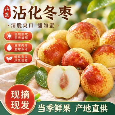 正宗山东沾化二代冬枣新鲜水果当季现摘脆甜多汁冰糖心大枣