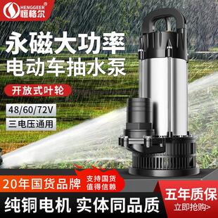直流潜水泵12V抽水泵24V48V60V72伏电动车电动车专用灌溉农用水泵
