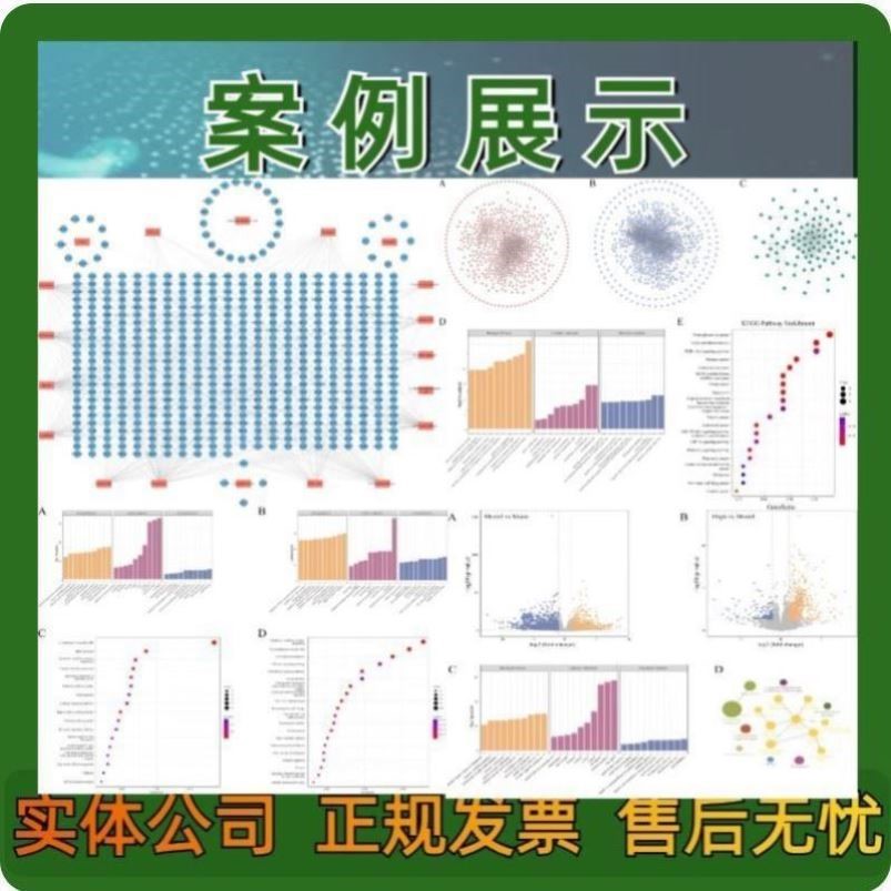网络药理学专业代做Cytoscape作图GO KEGG PPI网络