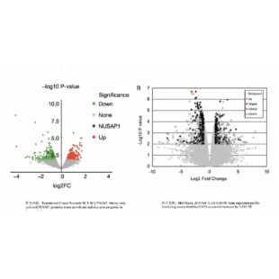 本人擅长代谢组转录组和蛋白组学数据分析关联分析单细胞测序