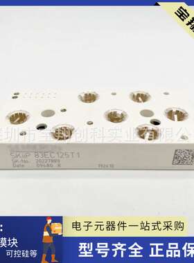 SKIIP83EC125T1 SKIIP83HEC125T1 SKIIP83AC128IT1 83AC12T4IT1