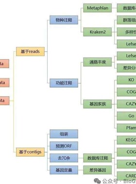 宏基因组数据分析/物种注释/组装拼接/基因预测/binning分箱/MAGs