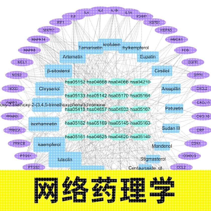 中医药网络药理学代做 网药 TCMSP GO KEGG cytoscape 分子对接