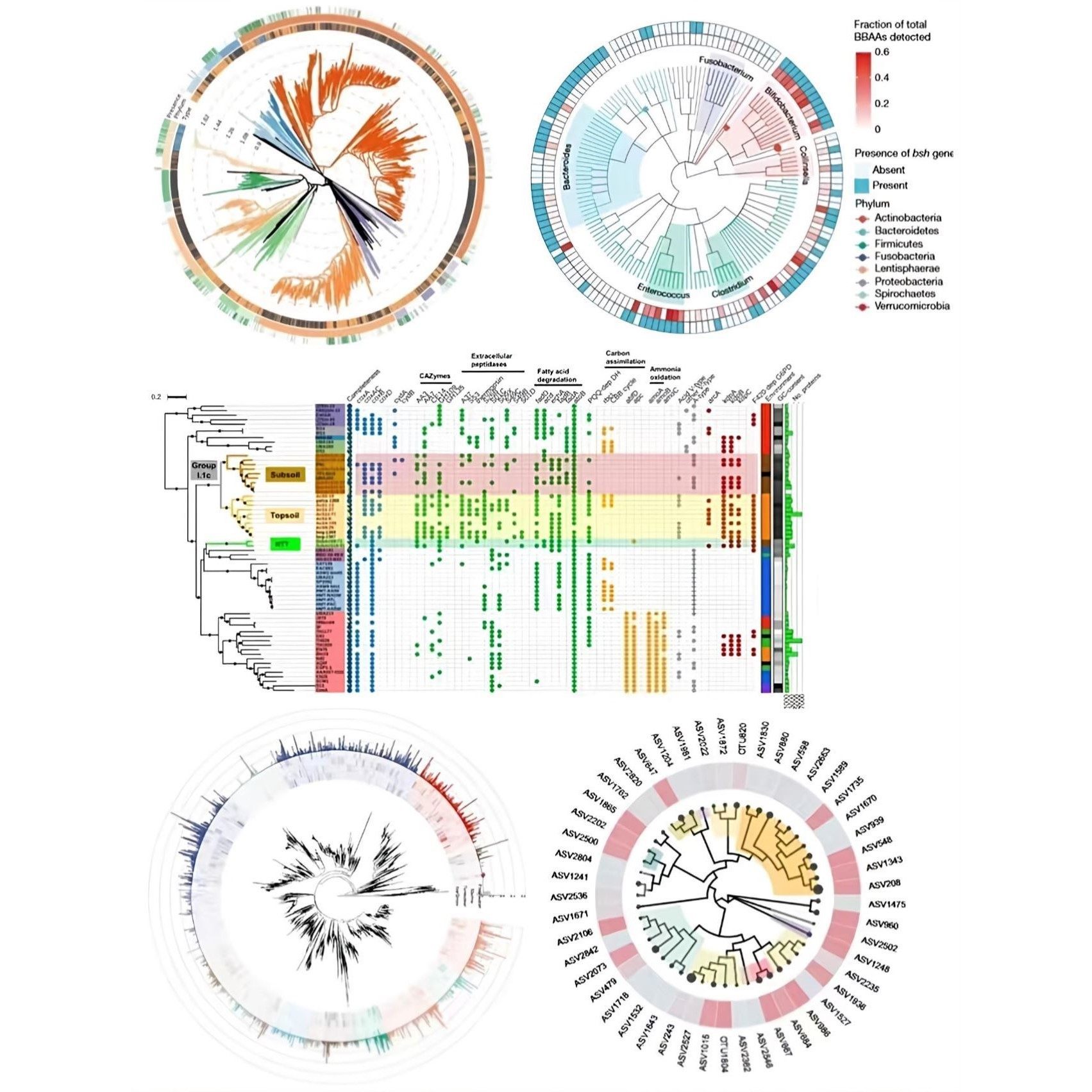 代谢通路空间代谢糖酵解脂基因单细胞scRNAseq,商务/设计服务,建筑及模型设计,淘宝优惠券,粉丝福利购,淘宝优惠卷